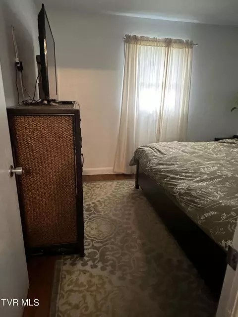 113 Walnut Road Bristol Tn 37620, Bristol, TN 37620 photo 32