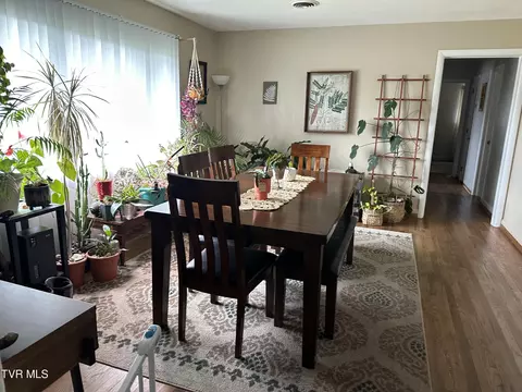 113 Walnut Road Bristol Tn 37620, Bristol, TN 37620 photo 25