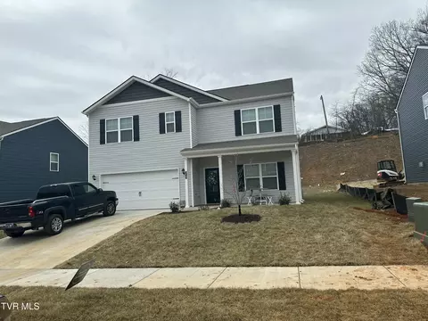 318 Terrapin Drive Johnson City Tn 37604, Johnson City, TN 37604