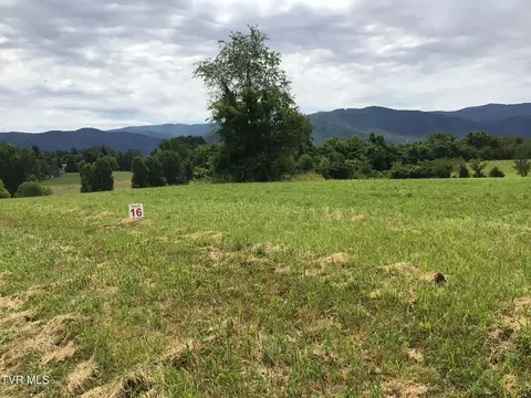 16 Deerwood Road Greeneville Tn 37743, Greeneville, TN 37743