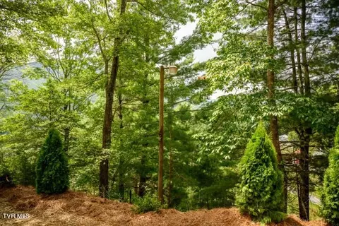 Exterior - 136 Stevens Lane Hampton Tn 37658, Hampton, TN 37658 photo 5 of 22