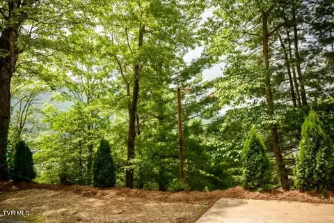 Exterior - 136 Stevens Lane Hampton Tn 37658, Hampton, TN 37658 photo 6 of 22