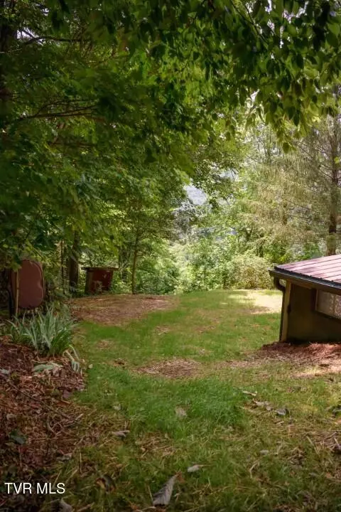 Exterior - 136 Stevens Lane Hampton Tn 37658, Hampton, TN 37658 photo 7 of 22