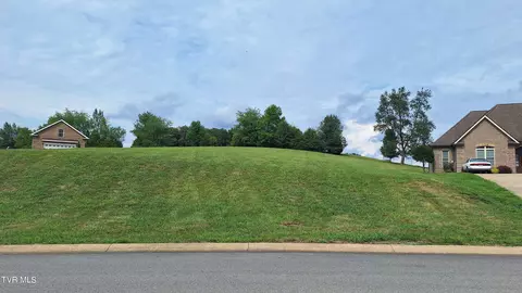 133 N Forest Lane Blountville Tn 37617, Blountville, TN 37617