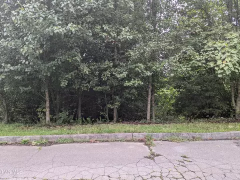 330 Bayberry Drive Kingsport Tn 37663, Kingsport, TN 37663