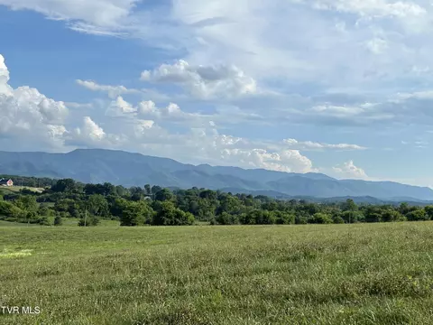 150 Lester Snapp Lot 2 - 10 Acres Road Limestone Tn 37681, Limestone, TN 37681