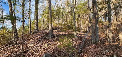 255 Todd Lane Drive Mountain City Tn 37683, Mountain City, TN 37683