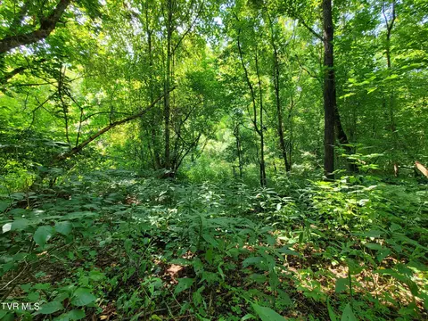 17262 Brumley Gap Road Abingdon Va 24210, Abingdon, VA 24210 photo 22