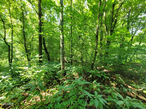 17262 Brumley Gap Road Abingdon Va 24210, Abingdon, VA 24210 photo 23