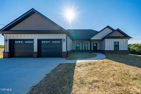 1317 Bowmantown Road Limestone Tn 37681, Limestone, TN 37681