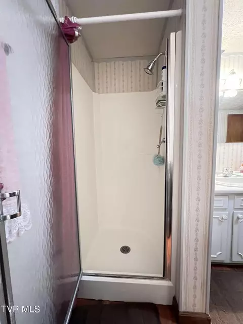 Bath - 117 Carolyn Avenue Fall Branch Tn 37656, Fall Branch, TN 37656 photo 5 of 6