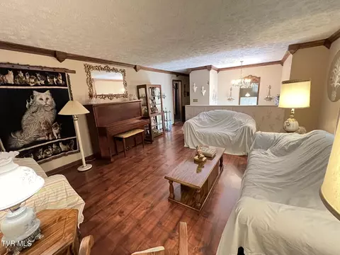 Other - 117 Carolyn Avenue Fall Branch Tn 37656, Fall Branch, TN 37656 photo 4 of 19