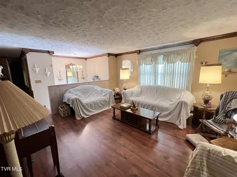 Living - 117 Carolyn Avenue Fall Branch Tn 37656, Fall Branch, TN 37656 photo 2 of 8