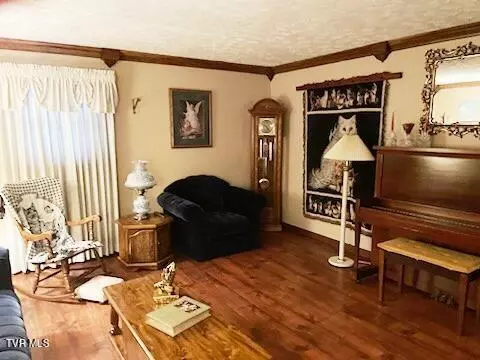 Living - 117 Carolyn Avenue Fall Branch Tn 37656, Fall Branch, TN 37656 photo 6 of 8