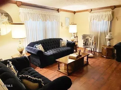 Living - 117 Carolyn Avenue Fall Branch Tn 37656, Fall Branch, TN 37656 photo 4 of 8