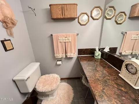 Bath - 117 Carolyn Avenue Fall Branch Tn 37656, Fall Branch, TN 37656 photo 3 of 6