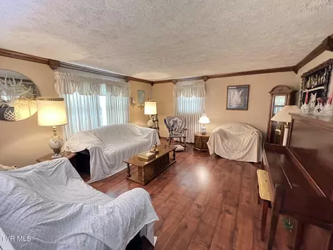 Living - 117 Carolyn Avenue Fall Branch Tn 37656, Fall Branch, TN 37656 photo 1 of 8
