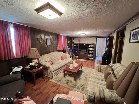 Living - 117 Carolyn Avenue Fall Branch Tn 37656, Fall Branch, TN 37656 photo 8 of 8