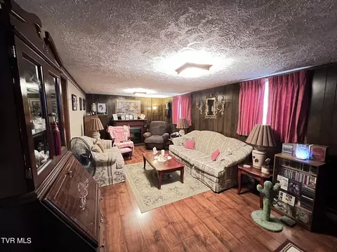 Living - 117 Carolyn Avenue Fall Branch Tn 37656, Fall Branch, TN 37656 photo 7 of 8