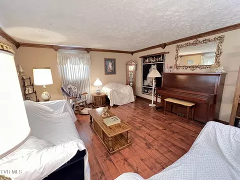 Living - 117 Carolyn Avenue Fall Branch Tn 37656, Fall Branch, TN 37656 photo 3 of 8
