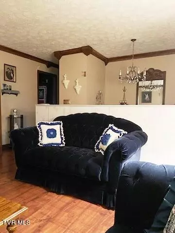 Living - 117 Carolyn Avenue Fall Branch Tn 37656, Fall Branch, TN 37656 photo 5 of 8