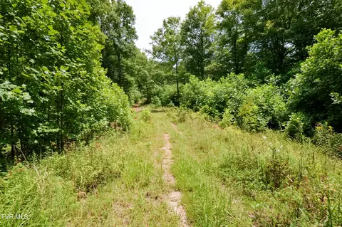851 Browns Branch Road Hampton Tn 37658, Hampton, TN 37658 photo 28