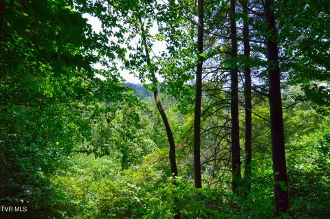 851 Browns Branch Road Hampton Tn 37658, Hampton, TN 37658 photo 22
