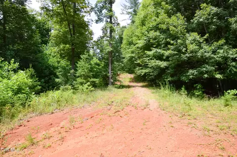 851 Browns Branch Road Hampton Tn 37658, Hampton, TN 37658 photo 24