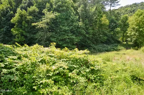 851 Browns Branch Road Hampton Tn 37658, Hampton, TN 37658 photo 39
