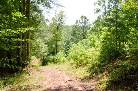 851 Browns Branch Road Hampton Tn 37658, Hampton, TN 37658 photo 35