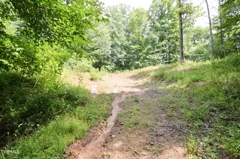 851 Browns Branch Road Hampton Tn 37658, Hampton, TN 37658 photo 23