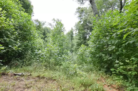 851 Browns Branch Road Hampton Tn 37658, Hampton, TN 37658 photo 27
