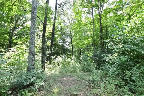 851 Browns Branch Road Hampton Tn 37658, Hampton, TN 37658 photo 30