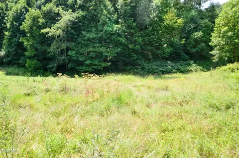 851 Browns Branch Road Hampton Tn 37658, Hampton, TN 37658 photo 37
