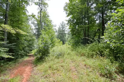 851 Browns Branch Road Hampton Tn 37658, Hampton, TN 37658 photo 25