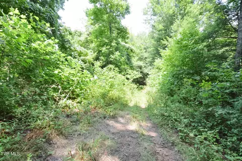 851 Browns Branch Road Hampton Tn 37658, Hampton, TN 37658 photo 29