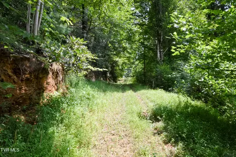 851 Browns Branch Road Hampton Tn 37658, Hampton, TN 37658 photo 21