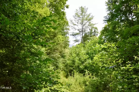 851 Browns Branch Road Hampton Tn 37658, Hampton, TN 37658 photo 33