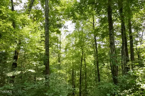 851 Browns Branch Road Hampton Tn 37658, Hampton, TN 37658 photo 31