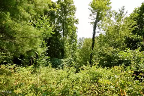851 Browns Branch Road Hampton Tn 37658, Hampton, TN 37658 photo 6