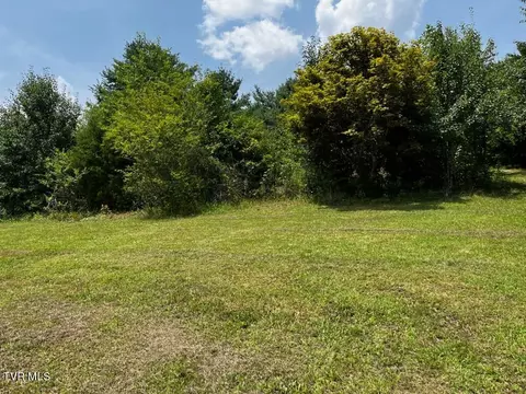 1146 Weaver Branch Road Bluff City Tn 37618, Bluff City, TN 37618