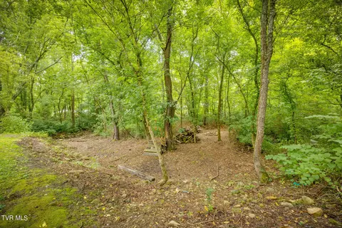 Exterior - 175 Witcher Lane Erwin Tn 37650, Erwin, TN 37650 photo 10 of 11