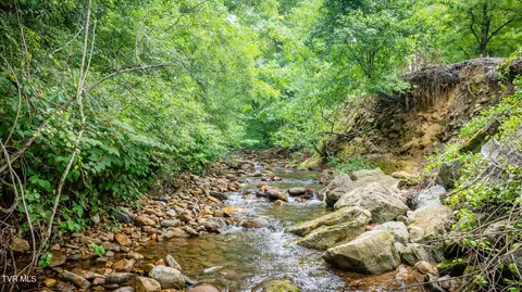 Other - 175 Witcher Lane Erwin Tn 37650, Erwin, TN 37650 photo 12 of 13