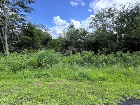 lot19 English Fields Drive Cosby Tn 37722, Cosby, TN 37722