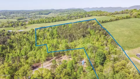 000 Dunville Gap Road Rutledge Tn 37861, Rutledge, TN 37861
