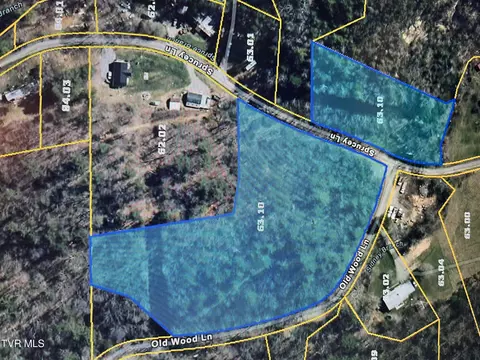 tbd Sprucy Lane Tract 2 3 Mountain City Tn 37683, Mountain City, TN 37683