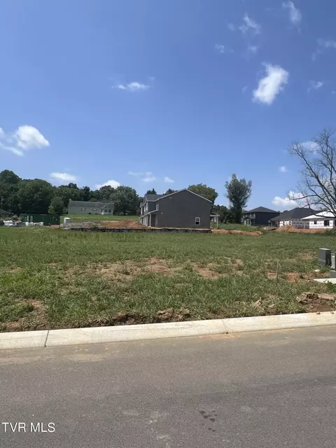 lot2 Dry Kiln Court Gray Tn 37615, Gray, TN 37615