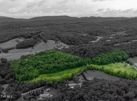 123 Tarpine Valley Road Rogersville Tn 37857, Rogersville, TN 37857