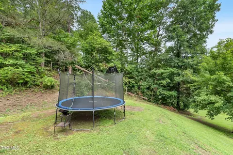 252 Cactus Lane Lane Duffield Va 24244, Duffield, VA 24244 photo 34