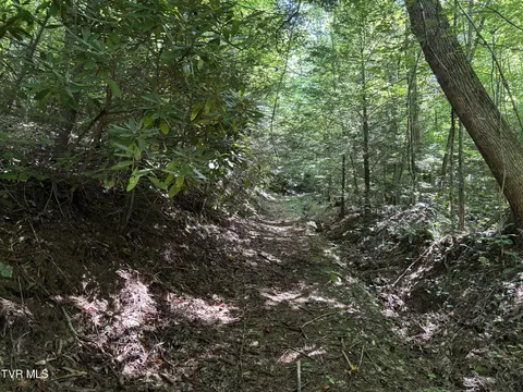 00 Betty Hammons Lane Mountain City Tn 37683, Mountain City, TN 37683